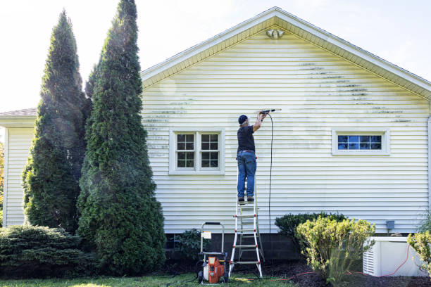 Best Graffiti Removal  in Tanaina, AK